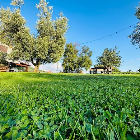 Da Gambin B&B Podenzana Esterno foto
