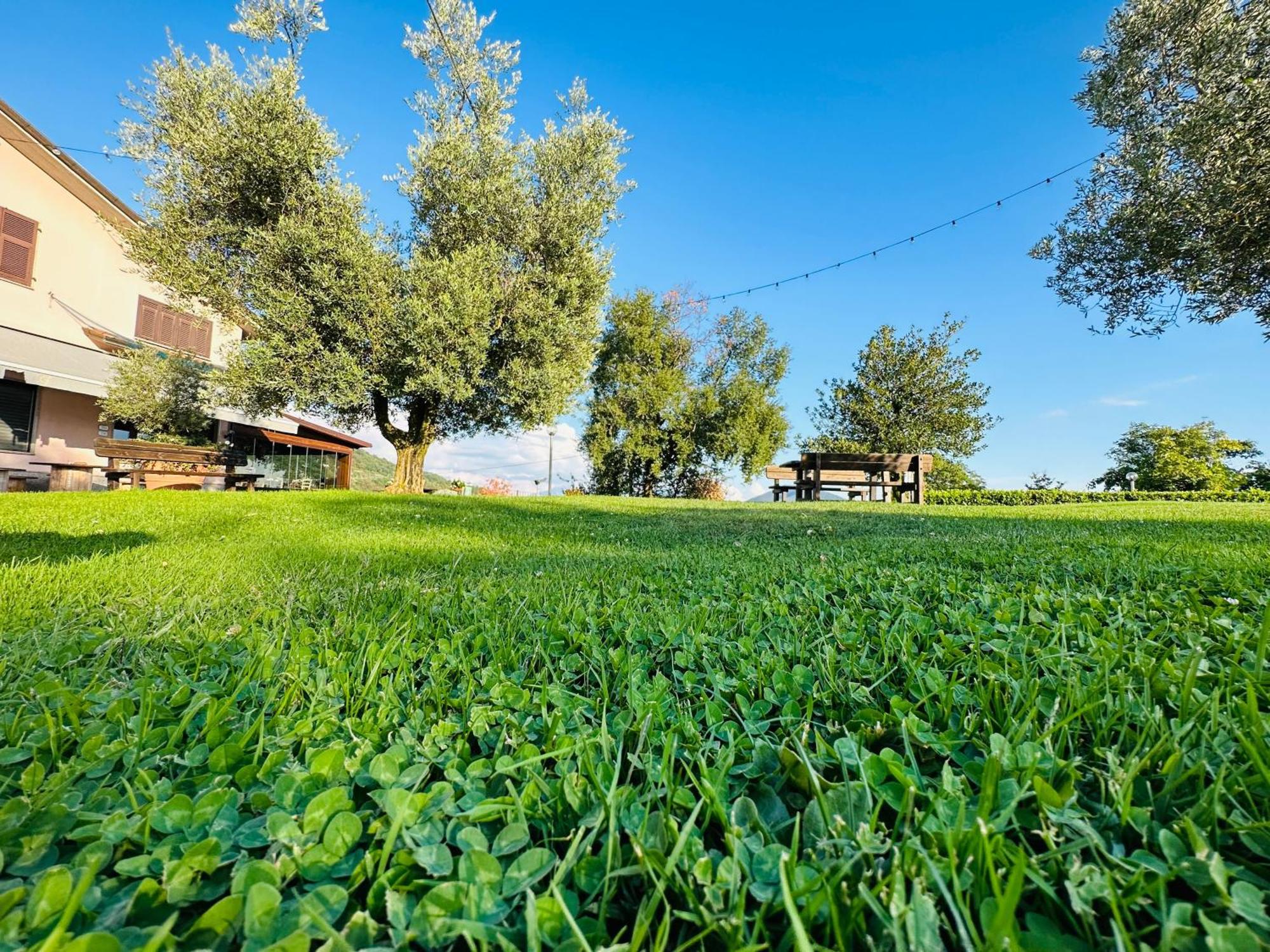 Da Gambin B&B Podenzana Esterno foto